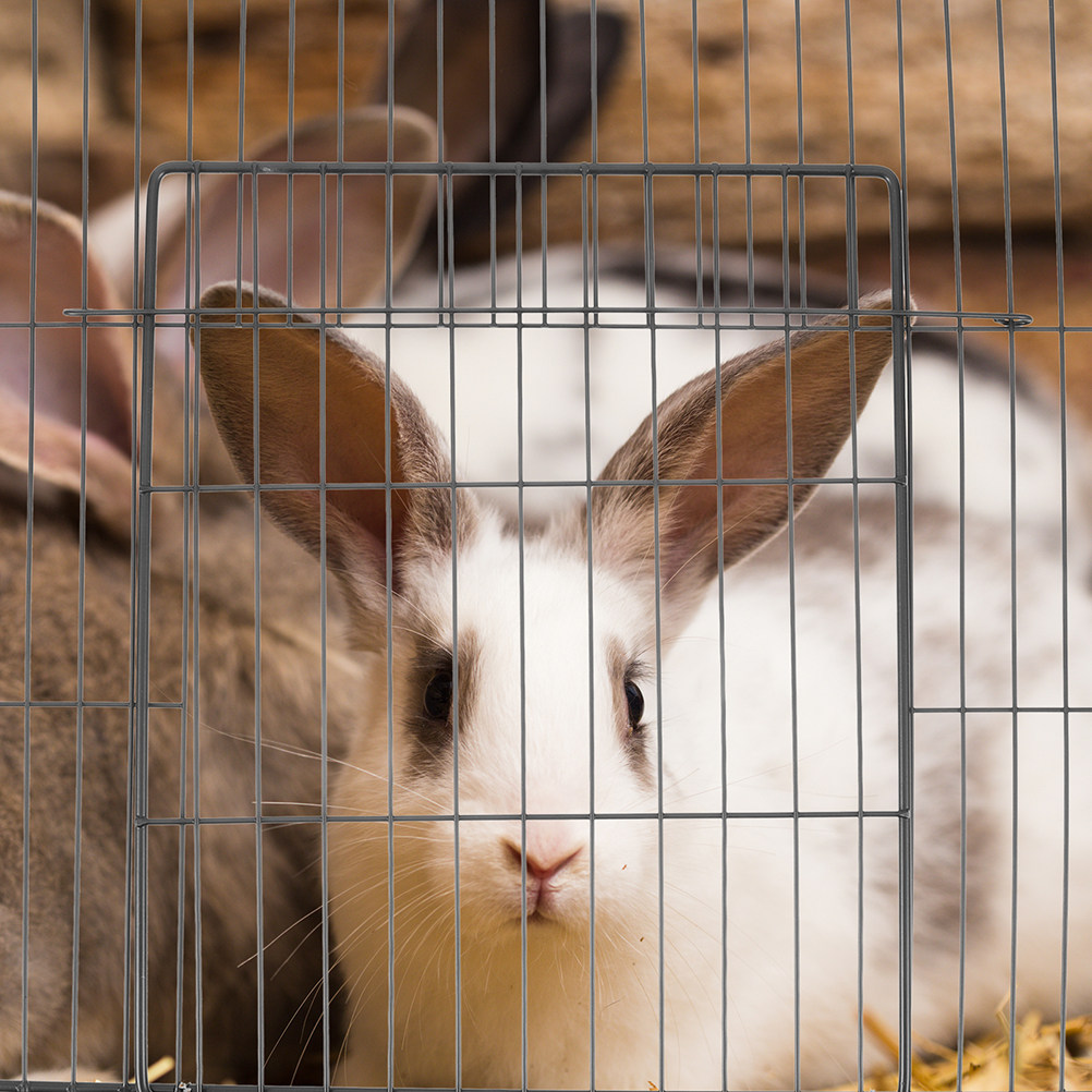 Rabbit Cage Wire - แผ่นกั้นประตูสำหรับสัตว์เลี้ยงแบบหนา 2 ชิ้น สำหรับกรงแมว คอกสุนัข คอกกระต่าย