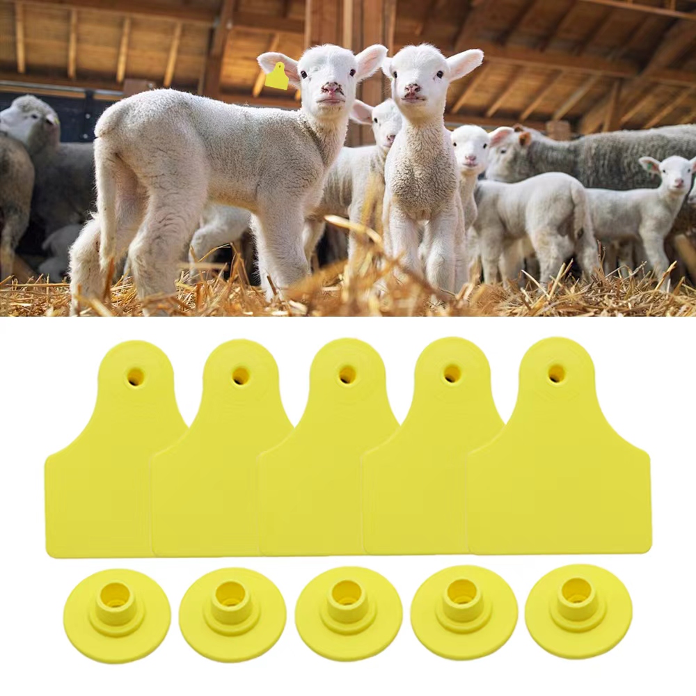Livestock Ear Tag - ป้ายหูสัตว์ปีก 20 ชิ้น ขนาด 40*50 มม.