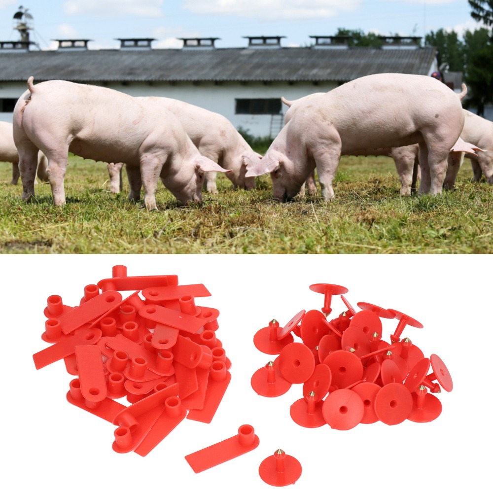Livestock Ear Tag - ป้ายหูสัตว์แบบเขียนได้ 100 ชิ้น ทำจาก PP ทนทาน
