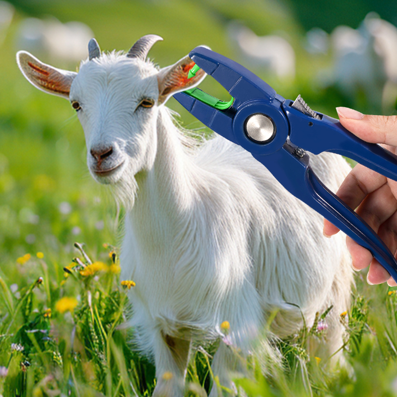แท็กหูแกะแบบรวม 100 ชิ้น/คีมติ - Livestock Ear Tag บทวิจารณ์และราคา