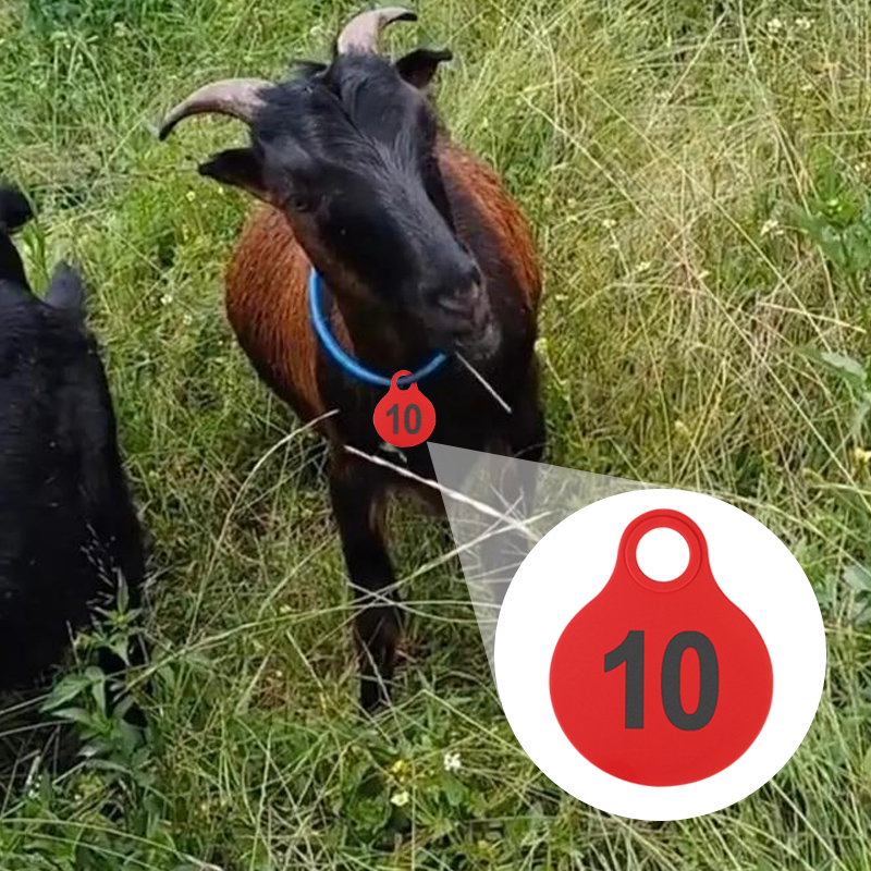 ป้ายห้อยหูวัว TPU 001-100 / ป้ - Livestock Ear Tag บทวิจารณ์และราคา