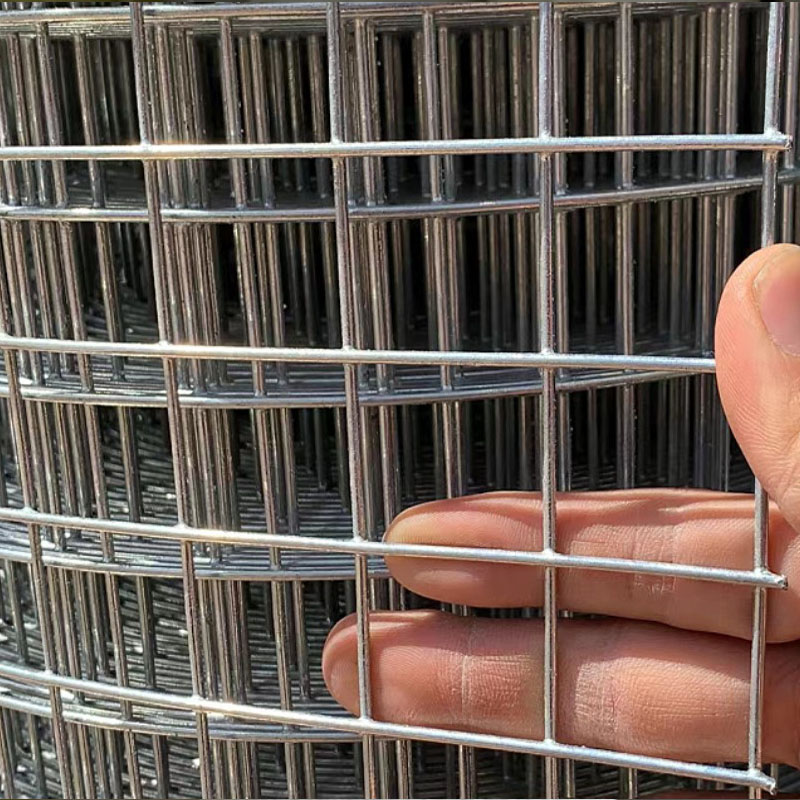ความกว้าง1เมตรม้วน STRONG ลวดช - Rabbit Cage Wire บทวิจารณ์และราคา