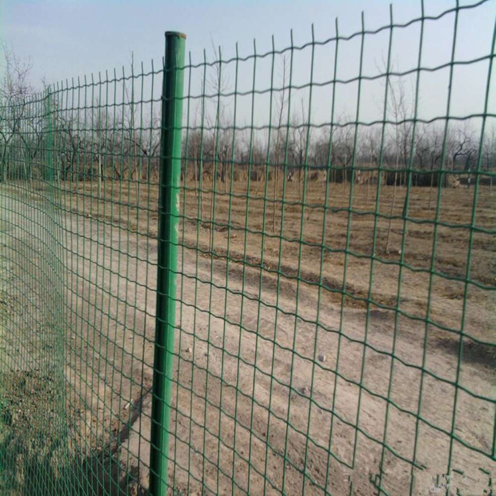 สวนรั้วความปลอดภัยรั้วลวดสำหรั - Rabbit Cage Wire บทวิจารณ์และราคา